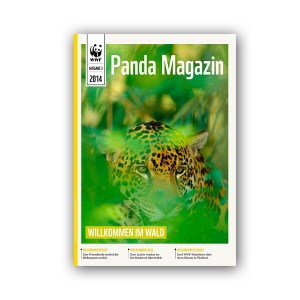 Pandamagazin Jaguar + Regenwald